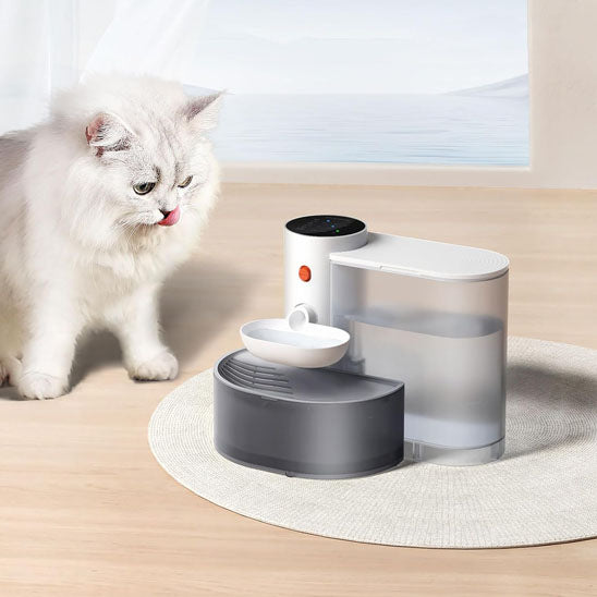 Fontaine intelligente pour chat avec distributeur d'eau - universmiaou