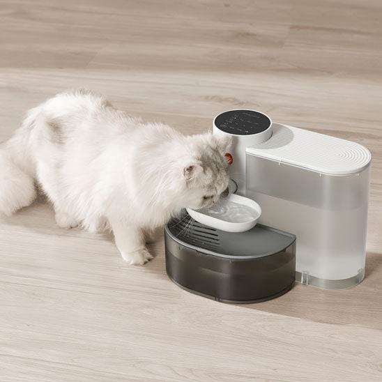 Fontaine intelligente pour chat avec distributeur d'eau - universmiaou