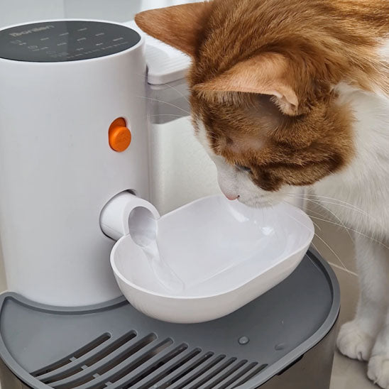 Fontaine intelligente pour chat avec distributeur d'eau - universmiaou