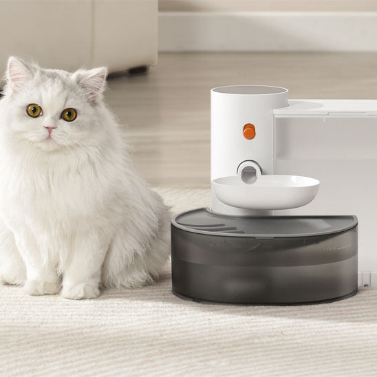 Fontaine intelligente pour chat avec distributeur d'eau - universmiaou