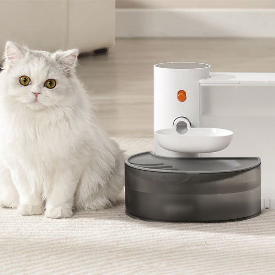 Fontaine automatique pour chat avec distributeur d'eau - universmiaou