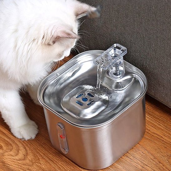 Fontaine eau chat - universmiaou