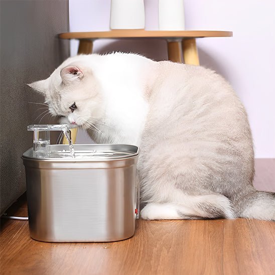 Fontaine eau chat - universmiaou
