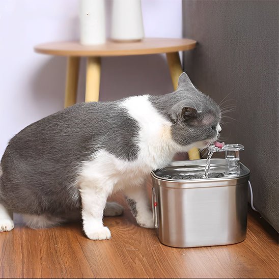Fontaine eau chat - universmiaou