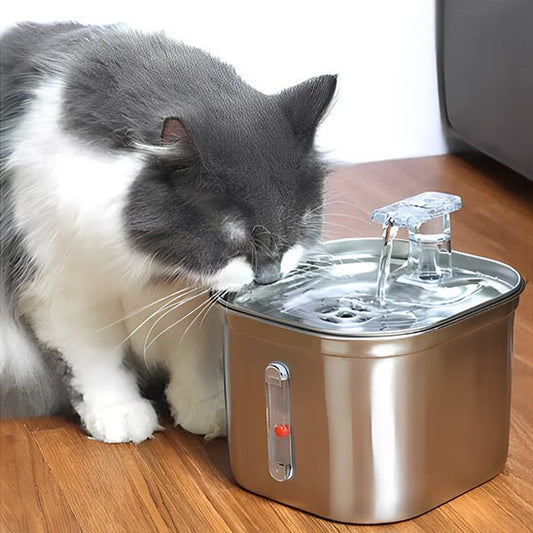 Fontaine eau chat - universmiaou