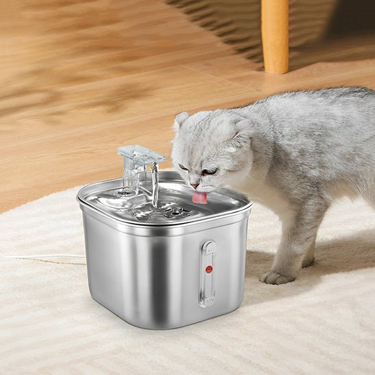 Fontaine eau chat - universmiaou