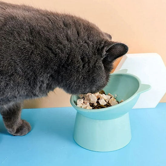 Gamelle anti-renversement pour chat - universmiaou