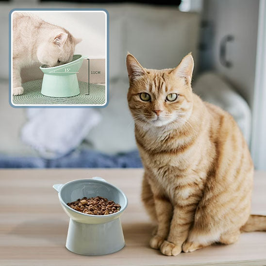 Gamelle anti-renversement pour chat - universmiaou