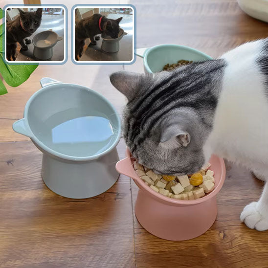 Gamelle anti-renversement pour chat - universmiaou
