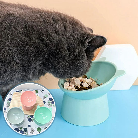 Gamelle anti-renversement pour chat - universmiaou