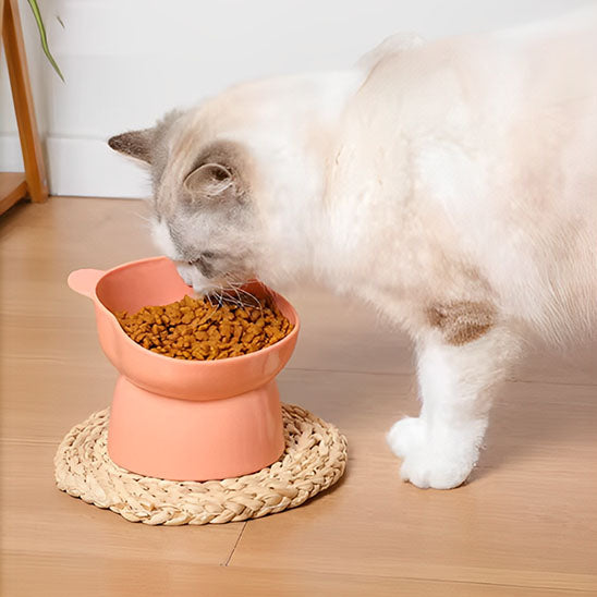 Gamelle anti-renversement pour chat - universmiaou