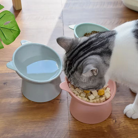 Gamelle anti-renversement pour chat - universmiaou
