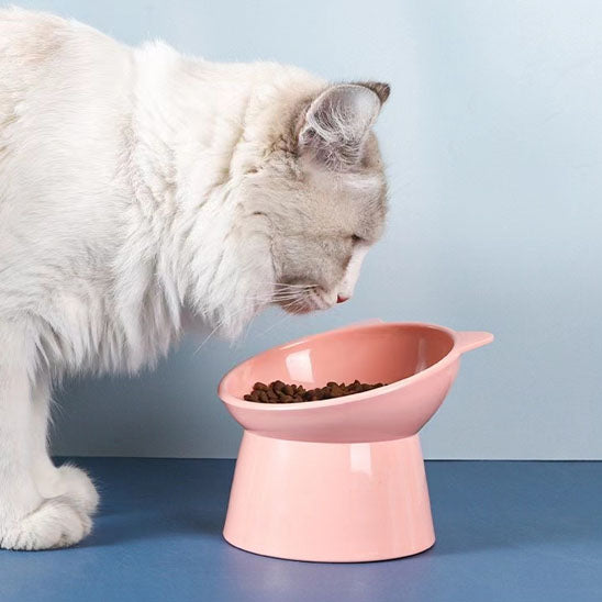 Gamelle anti-renversement pour chat - universmiaou