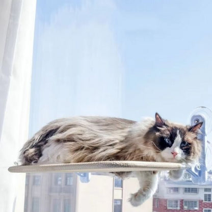 Hamac murale pliable pour chats