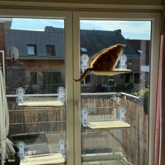 Hamac murale pliable pour chats