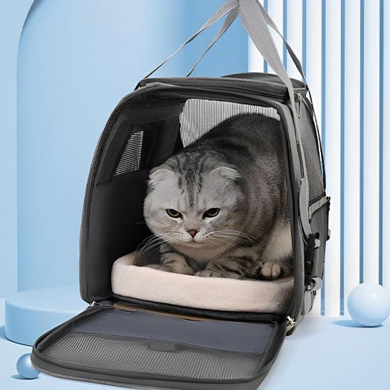 Sac de transport chat - universmiaou