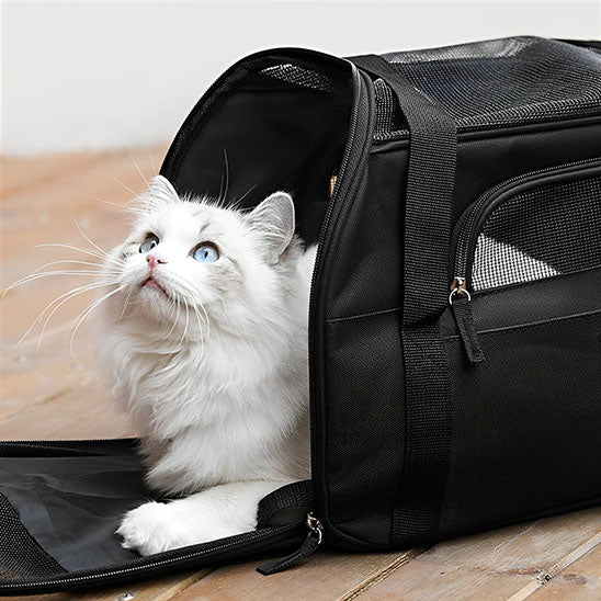 Sac de transport chat - universmiaou