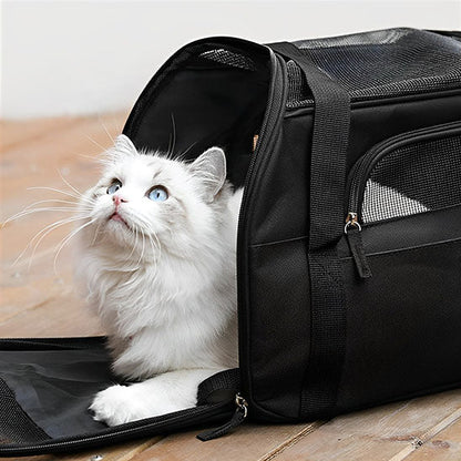Sac de transport chat - universmiaou